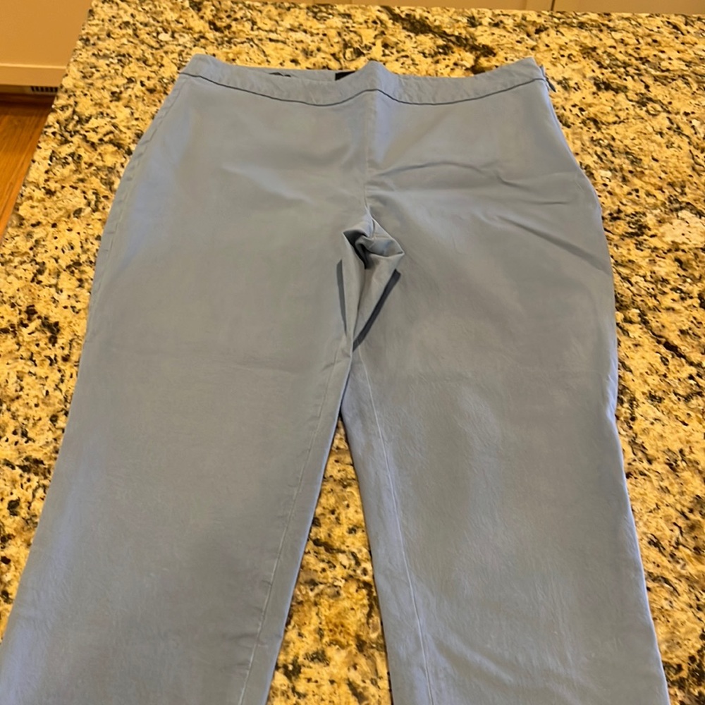 Talbots Size 10P Chatham Ankle Curvy slate blue pants